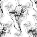 Graphic irises on white background. Seamless pattern.