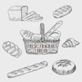 Graphic kinds of bread. Vector illustration.