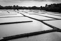 Graphic landscape of salt marshes in Guerande peninsula France. Black and white photography