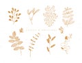 Graphic leaves and branches beige color