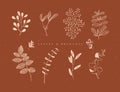 Graphic leaves and branches brown color