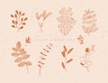 Graphic leaves and branches mustard color