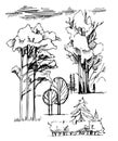 Graphic line Illustration , the entourage of trees on a white background