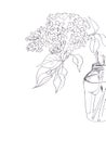 Graphic linear black and white drawing a branch of blooming lilacs in a jar