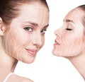 Graphic lines showing facial lifting effect on skin. Royalty Free Stock Photo