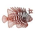 Graphic lion fish Royalty Free Stock Photo