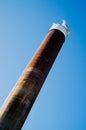 Graphic minimalistic image of seagulls sitting on top of a metal column in front of a clean blue sky