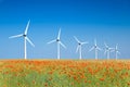 Graphic modern landscape of wind turbines in a poppies field