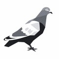 Bold Graphic Silhouette Of Gray Pigeon On White Background