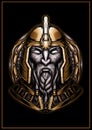 Graphic portrait of a nordic warrior in a gold armor on the background of a shield, a bust of a dwarf with a braided beard