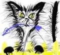 Graphic portrait stray cat Royalty Free Stock Photo