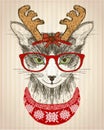 Graphic poster with hipster cat dressed in red glasses, deer horns hat and red knitted sweater, new year card, christmas pet funny Royalty Free Stock Photo