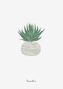 Graphic print of Haworthia. Royalty Free Stock Photo