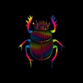 Stylized scarab in spectrum colors on black background Royalty Free Stock Photo