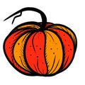 Hand Drawn Graphic Pumpkin Art Autumn Harvest, Halloween, Thanksgivin Royalty Free Stock Photo