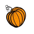 Hand Drawn Graphic Pumpkin Art Autumn Harvest, Halloween, Thanksgivin Royalty Free Stock Photo