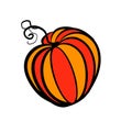 Hand Drawn Graphic Pumpkin Art Autumn Harvest, Halloween, Thanksgivin Royalty Free Stock Photo