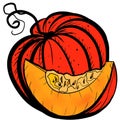 Hand Drawn Graphic Pumpkin Art Autumn Harvest, Halloween, Thanksgivin Royalty Free Stock Photo