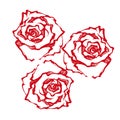 Graphic red rose. Floral illustration on a white background. Royalty Free Stock Photo