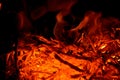 Graphic resource consisting of burning small branches. Royalty Free Stock Photo