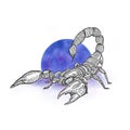 Graphic scorpio with moon on white background