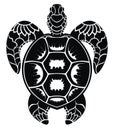 Graphic sea turtle vector design