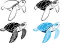 graphic sea turtle , vector illustration of sea turtle ,design on a white background Royalty Free Stock Photo