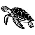 graphic sea turtle,vector illustration of sea turtle Royalty Free Stock Photo