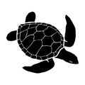 graphic sea turtle , vector illustration of sea turtle , vector of turtle design Royalty Free Stock Photo