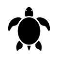 graphic sea turtle , vector illustration of sea turtle , vector of turtle design Royalty Free Stock Photo