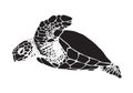 Graphic sea turtle, vector