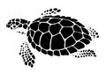 Graphic sea turtle on white background, vector