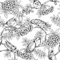 Graphic seamless background with sparrows and berries