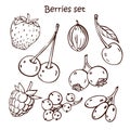 Graphic set with different berries.