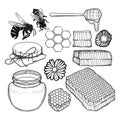 Graphic set of honey, caps, dripper, honeycombs, bees and flowers