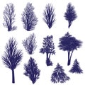 Graphic set off tree silhouettes vector illustrations Royalty Free Stock Photo