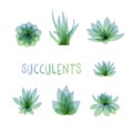 Graphic Set of succulents on white background for design of cards, invitations