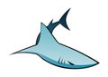 Graphic of shark Royalty Free Stock Photo