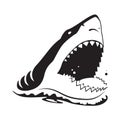 Graphic shark, vector Royalty Free Stock Photo