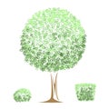 Graphic tree