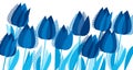Graphic tulip flowers in monochrome blue color