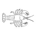 Graphic vector cancer drawn in line art style. Sea and ocean creature isolated on white background. Seafood element