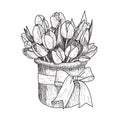 Graphic vector illustration of tulip. Hand drawn artwork. Love concept for wedding invitations, cards, tickets Royalty Free Stock Photo