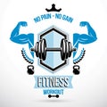 Graphic vector insignia created with strong sportsman biceps arm, disc weight dumb bell and kettle bell sport equipment. Gym and Royalty Free Stock Photo