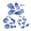 Graphic vector mussels, oysters and scallops