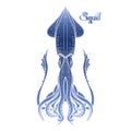 Graphic vector squid