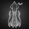 Graphic vector squid