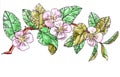 Graphic watercolor multicolor drawing branch of a pink blossoming apple tree Royalty Free Stock Photo