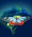 Beautiful butterfly is drawn in watercolor on a yellow flower, the illustration is very colorful and realistic.