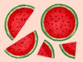 Pieces of Graphic Watermelon Shapes Illustrated